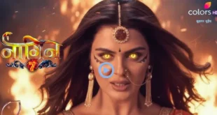 Desi Serial Naagin 7 On Colors Tv All Episodes